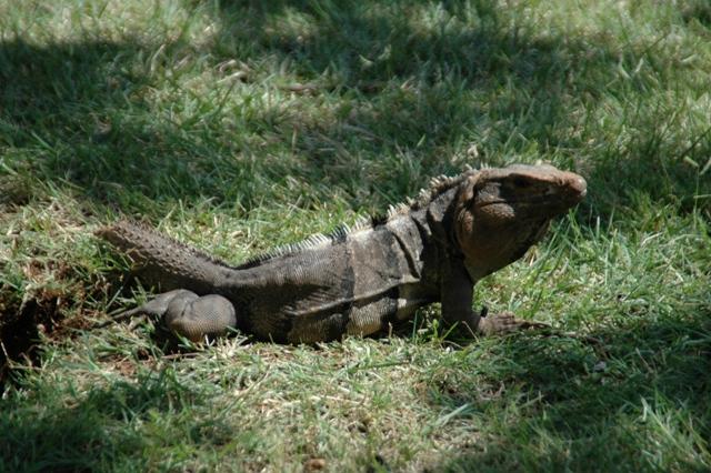 35_Mexico_Uxmal.JPG