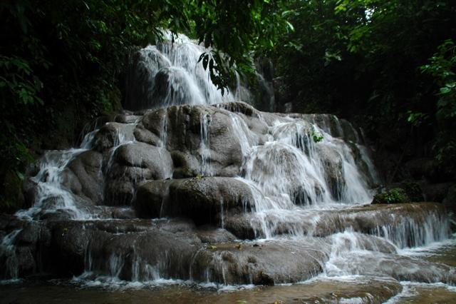 80_Mexico_Palenque_Jungle.JPG