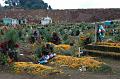 140_Mexico_Village_Tour