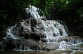 80_Mexico_Palenque_Jungle