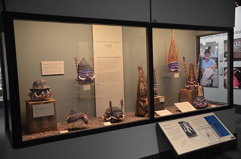 054_USA_Chicago_Field_Museum.JPG