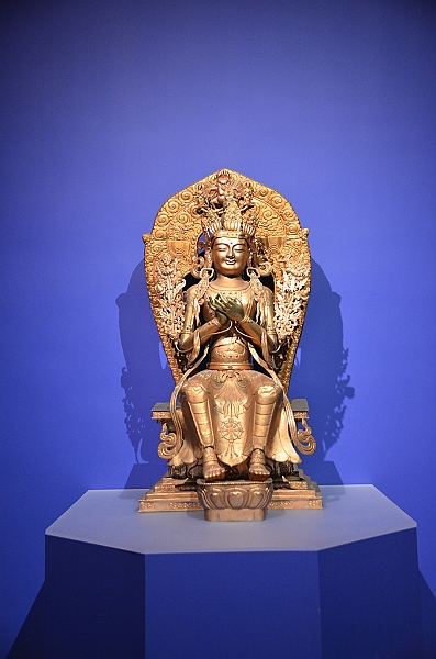 056_USA_Chicago_Field_Museum.JPG