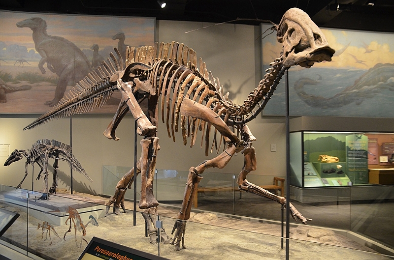 061_USA_Chicago_Field_Museum.JPG