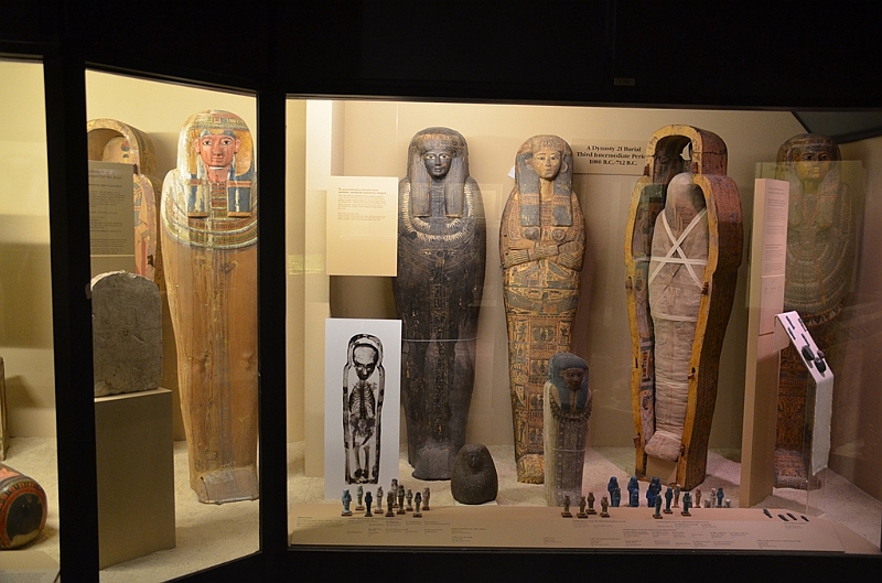 068_USA_Chicago_Field_Museum.JPG