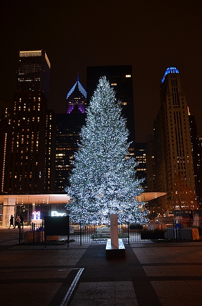 164_USA_Chicago.JPG