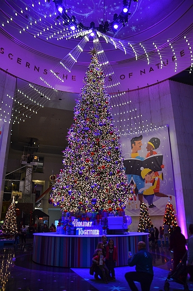 174_USA_Chicago_Museum_of_Science_and_Industry.JPG