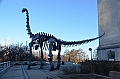 041_USA_Chicago_Field_Museum