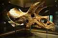 065_USA_Chicago_Field_Museum