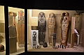 068_USA_Chicago_Field_Museum
