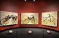 178_USA_Chicago_Museum_of_Science_and_Industry