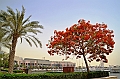 137_Dubai_Festival_City