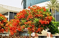 138_Dubai_Festival_City
