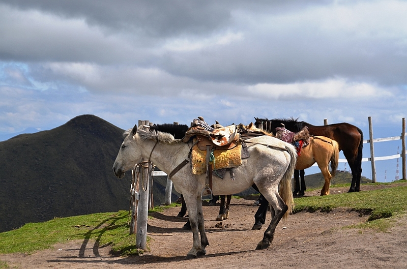 068_Ecuador_Quito.JPG