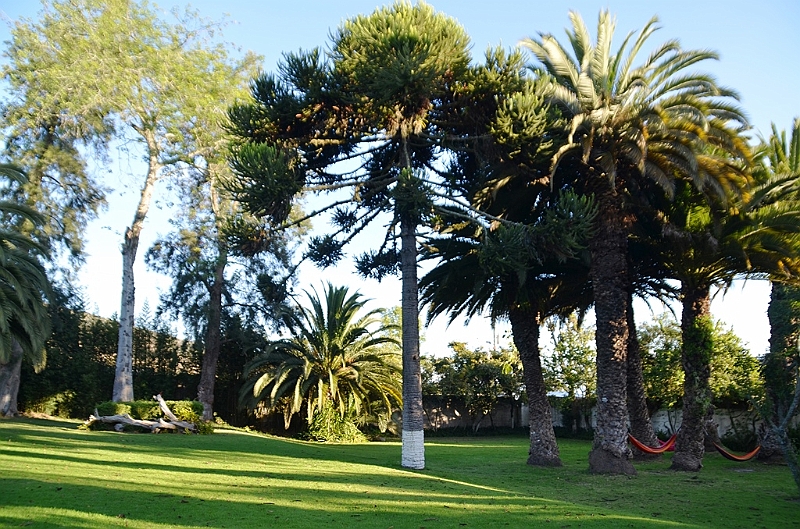 115_Ecuador_Hacienda_Chorlavi.JPG