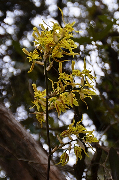 178_Ecuador_Papallacta.JPG