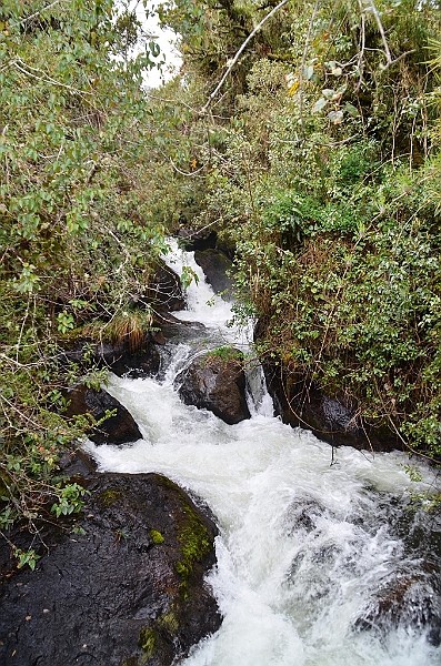 181_Ecuador_Papallacta.JPG