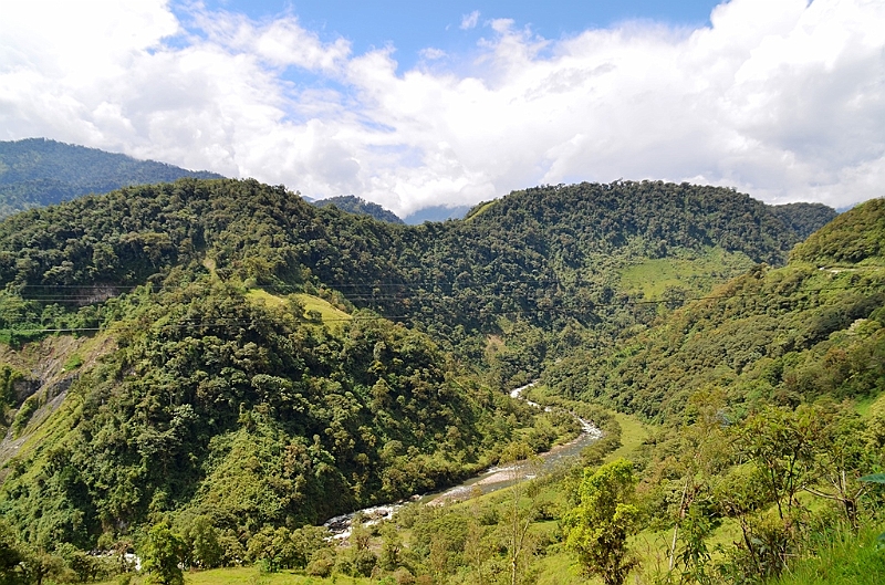 206_Ecuador.JPG
