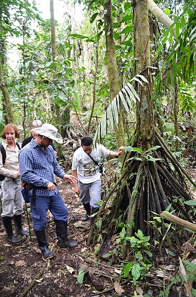 219_Ecuador_Amazonas_Aera.JPG