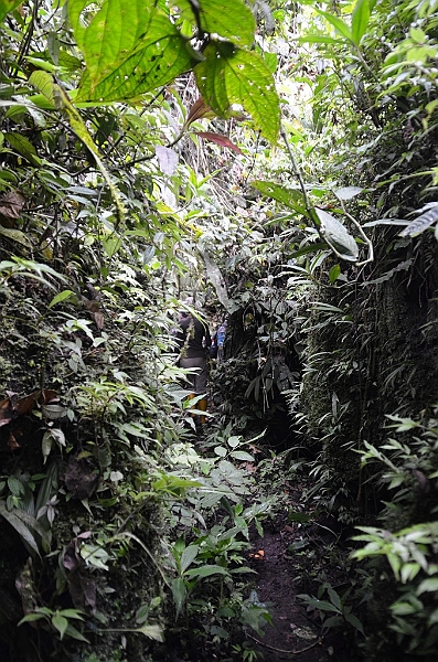 250_Ecuador_Amazonas_Aera.JPG