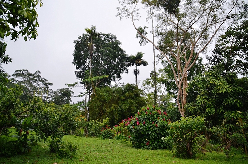 254_Ecuador_Amazonas_Aera.JPG