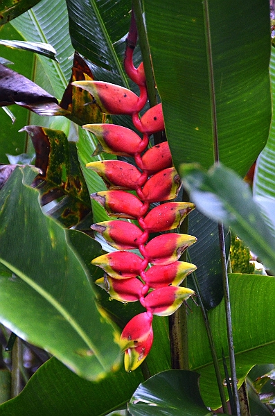 258_Ecuador_Amazonas_Aera.JPG