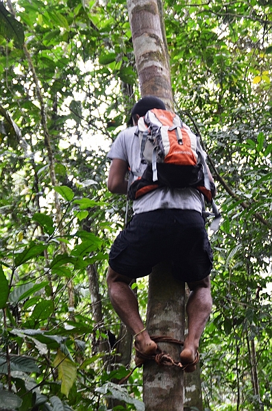 275_Ecuador_Amazonas_Aera_Napo_River_Tour.JPG