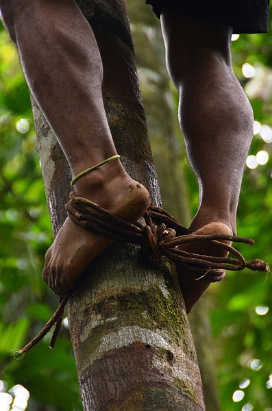 276_Ecuador_Amazonas_Aera_Napo_River_Tour.JPG