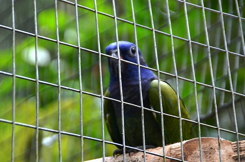 310_Ecuador_Amazonas_Aera_Napo_River_Tour.JPG