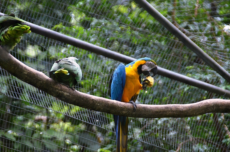 315_Ecuador_Amazonas_Aera_Napo_River_Tour.JPG