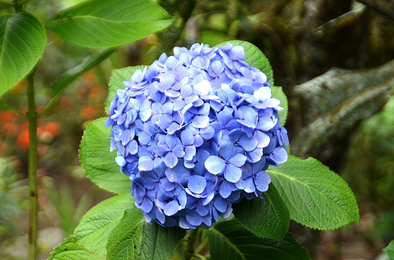 324_Ecuador_Pailon_del_Diablo.JPG