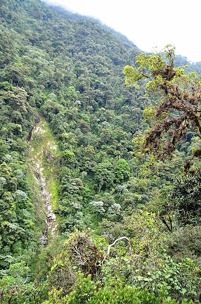 332_Ecuador_Pailon_del_Diablo.JPG
