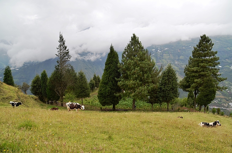 360_Ecuador_Banos.JPG
