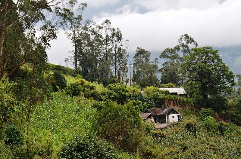 364_Ecuador_Banos.JPG