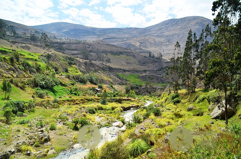 408_Ecuador_Nariz_del_Diablo_Train.JPG