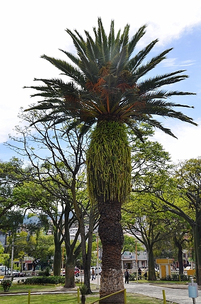 562_Ecuador_Loja.JPG
