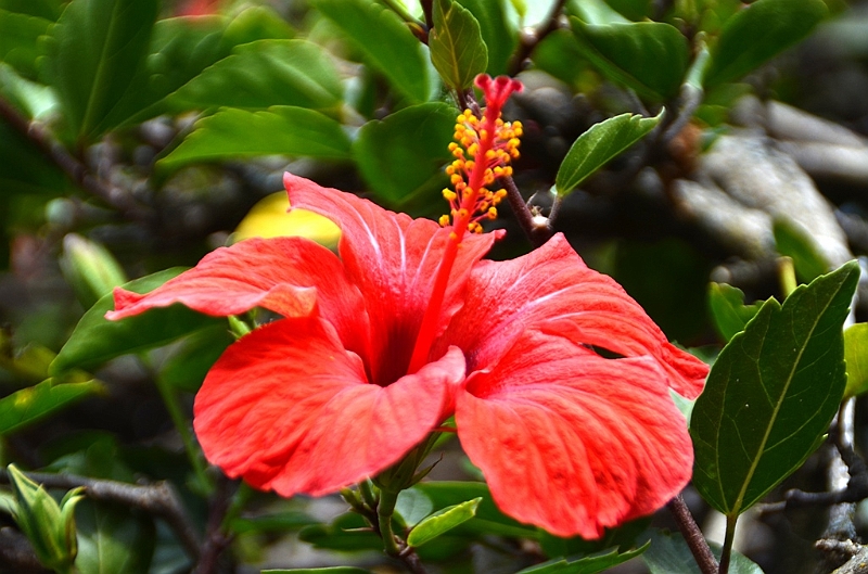563_Ecuador_Loja.JPG