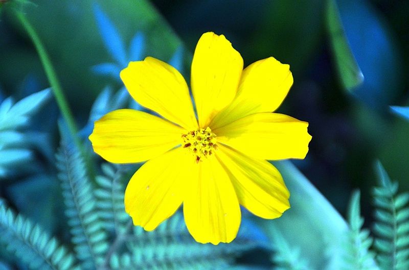 583_Ecuador_Vilcabamba.JPG