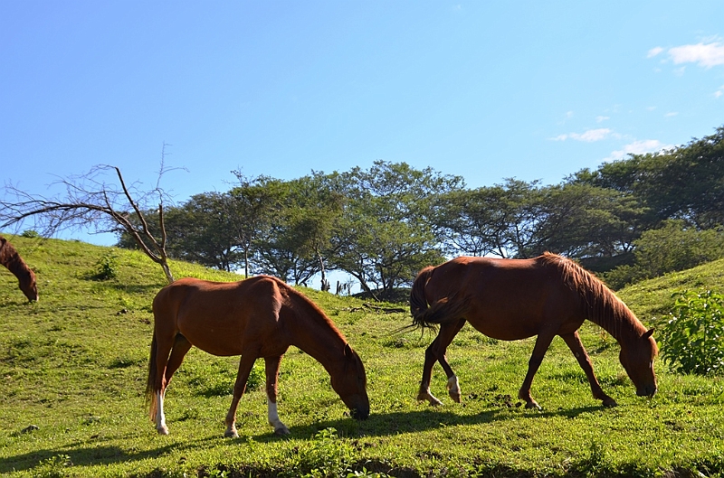 586_Ecuador_Vilcabamba.JPG