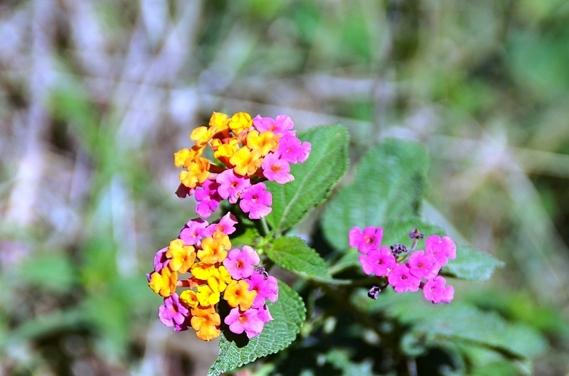 588_Ecuador_Vilcabamba.JPG