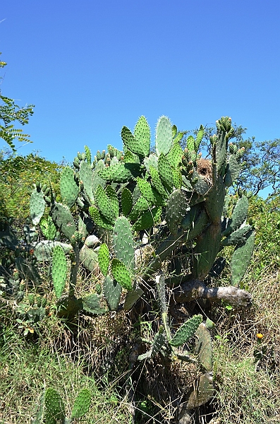 589_Ecuador_Vilcabamba.JPG