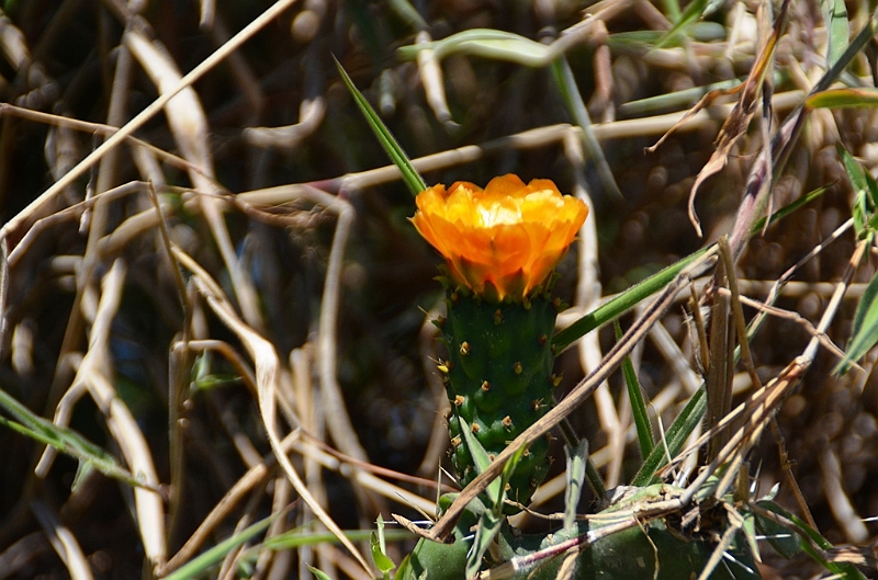 590_Ecuador_Vilcabamba.JPG