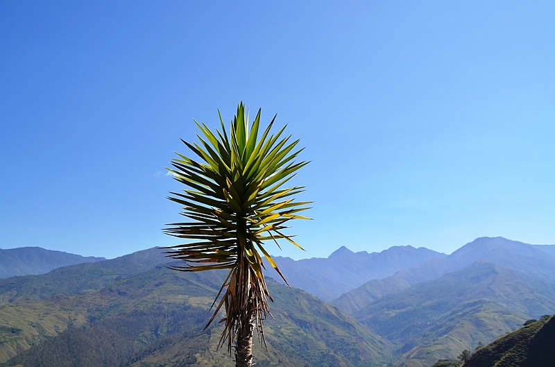 591_Ecuador_Vilcabamba.JPG