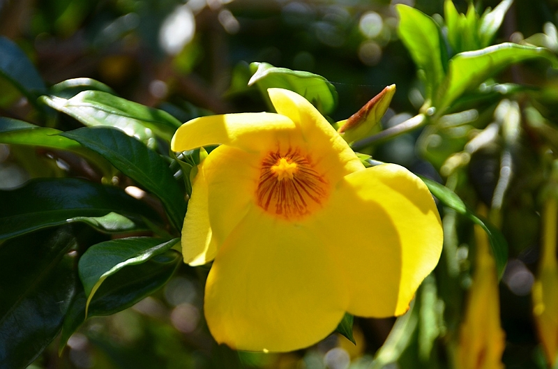 606_Ecuador_Vilcabamba.JPG