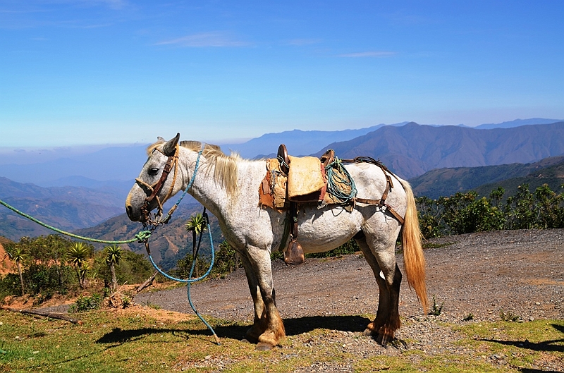 621_Ecuador.JPG