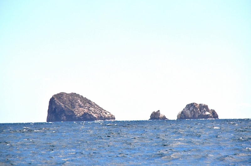 654_Ecuador_Galapagos_Islas_Plazas_South_Boot_Tour.JPG