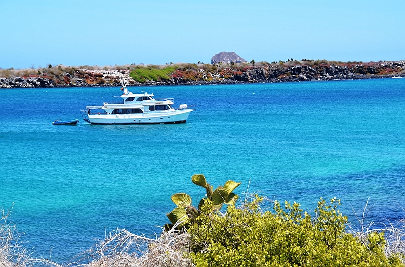 677_Ecuador_Galapagos_Islas_Plazas_South_Boot_Tour.JPG