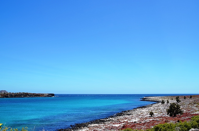 678_Ecuador_Galapagos_Islas_Plazas_South_Boot_Tour.JPG