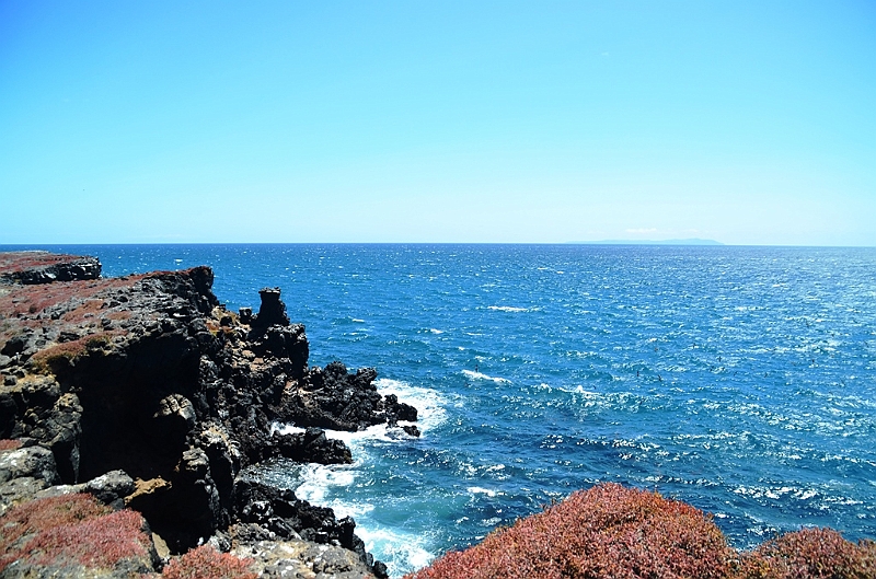 703_Ecuador_Galapagos_Islas_Plazas_South_Boot_Tour.JPG