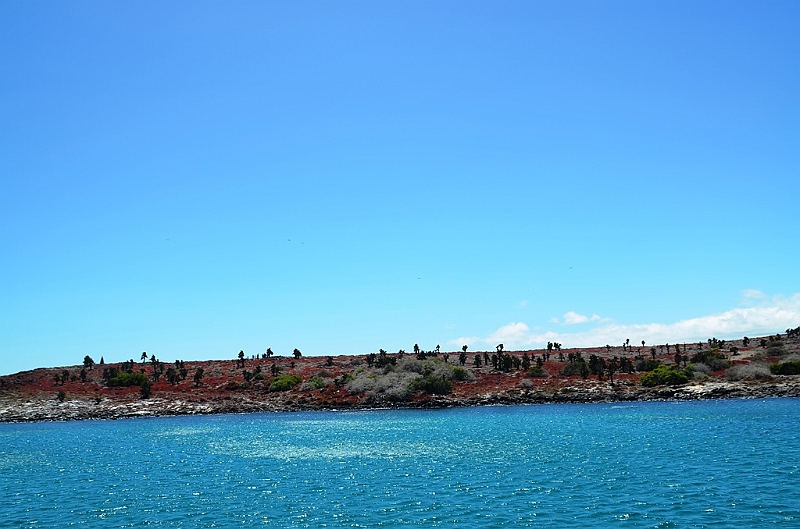 709_Ecuador_Galapagos_Islas_Plazas_South_Boot_Tour.JPG