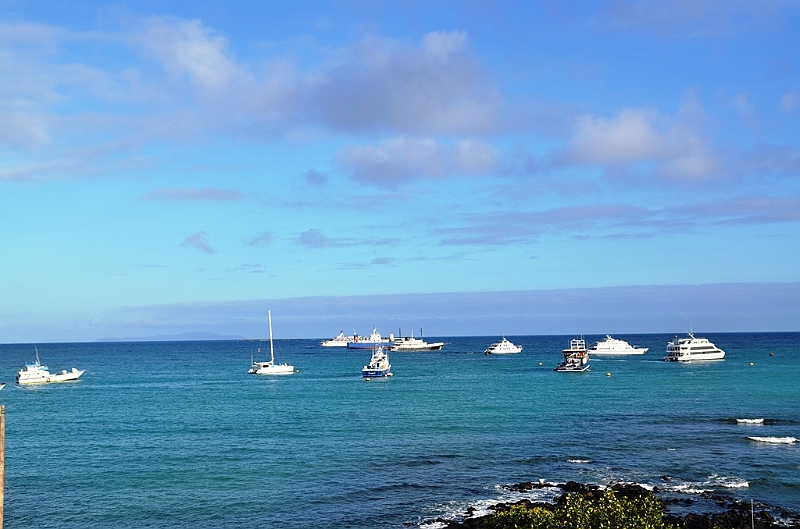713_Ecuador_Galapagos_Santa_Cruz_Puerto_Ayora.JPG